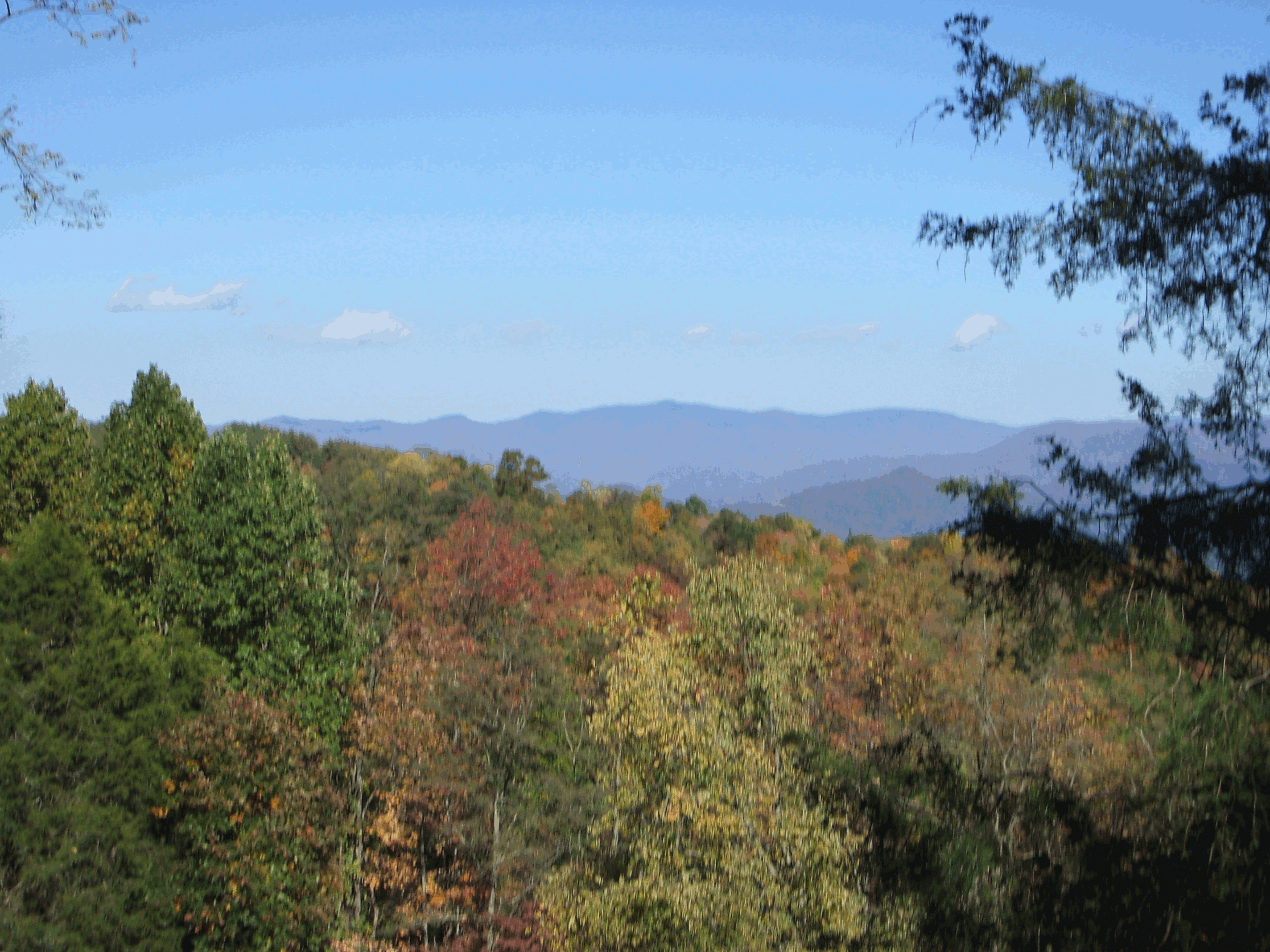 1 arrowmont stables cabins has the best trail rides in the se maybe